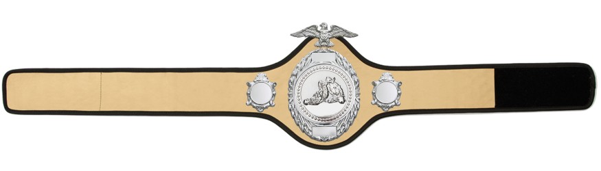 JIU JITSU CHAMPIONSHIP BELT-PRO288/S/JJS - 10 COLOURS JIU JITSU CHAMPIONSHIP BELT-PRO288/S/JJS - 10 COLOURS